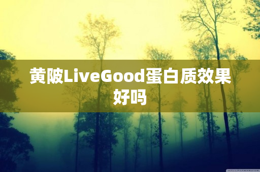 黄陂LiveGood蛋白质效果好吗