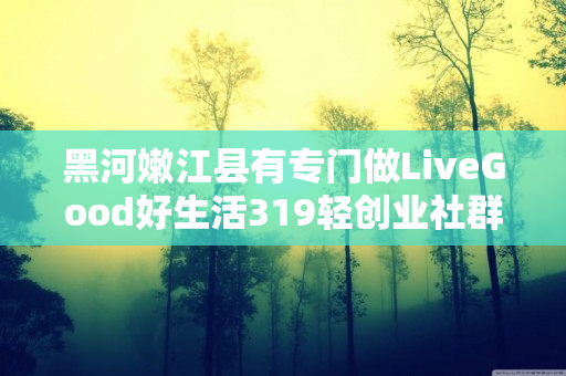 黑河嫩江县有专门做LiveGood好生活319轻创业社群的伙伴吗