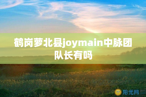 鹤岗萝北县joymain中脉团队长有吗