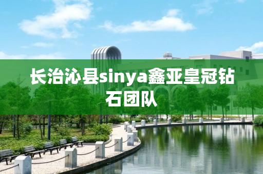 长治沁县sinya鑫亚皇冠钻石团队