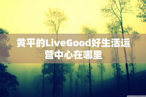 黄平的LiveGood好生活运营中心在哪里